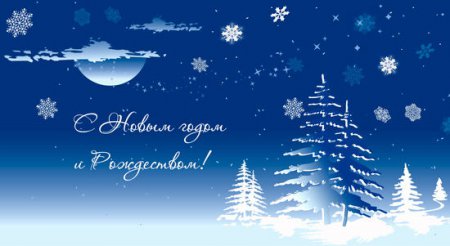 С наступающим Новым Годом и Рождеством Христовым!